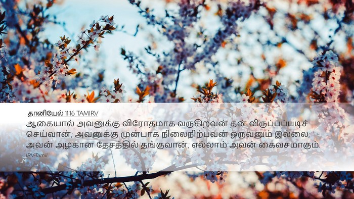 தானியேல் 11:16 TAMIRV Bible Verse Image