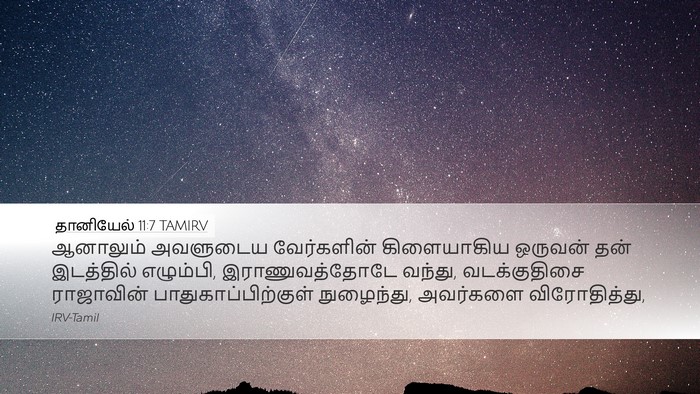 தானியேல் 11:7 TAMIRV Bible Verse Image