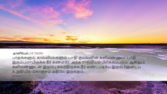 தானியேல் 2:41 TAMIRV Desktop Wallpaper - பாதங்களும், - Desktop Bible Verse Wallpaper