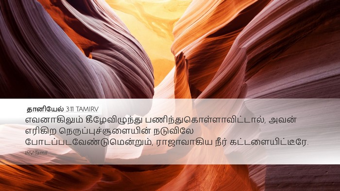 தானியேல் 3:11 TAMIRV Bible Verse Image