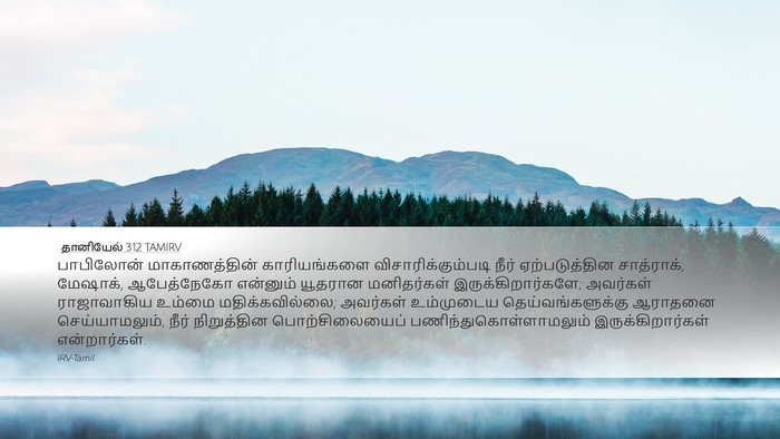 தானியேல் 3:12 TAMIRV Bible Verse Image