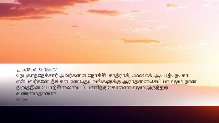தானியேல் 3:14 TAMIRV Desktop Wallpaper - நேபுகாத்நேச்சார் - Desktop Bible Verse Wallpaper