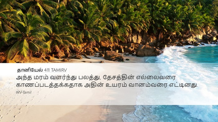 தானியேல் 4:11 TAMIRV Bible Verse Image