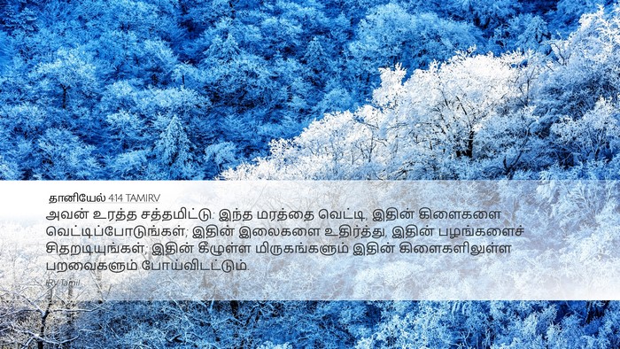 தானியேல் 4:14 TAMIRV Bible Verse Image