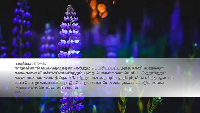 தானியேல் 5:12 TAMIRV Bible Verse Image