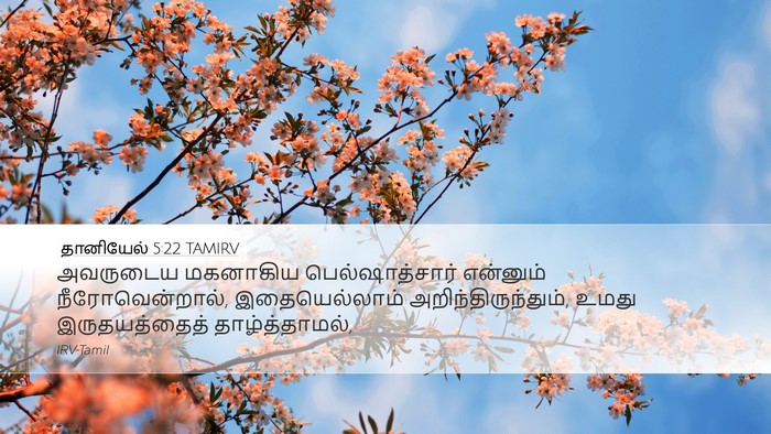 தானியேல் 5:22 TAMIRV Bible Verse Image