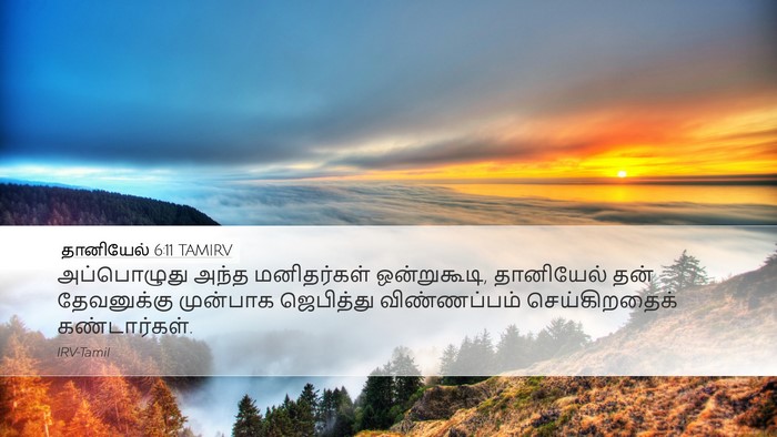 தானியேல் 6:11 TAMIRV Bible Verse Image