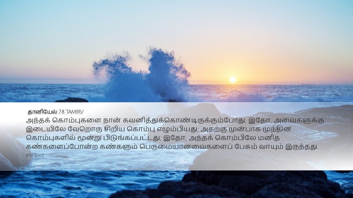 தானியேல் 7:8 TAMIRV Bible Verse Image