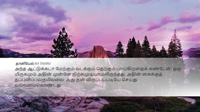 தானியேல் 8:4 TAMIRV Bible Verse Image