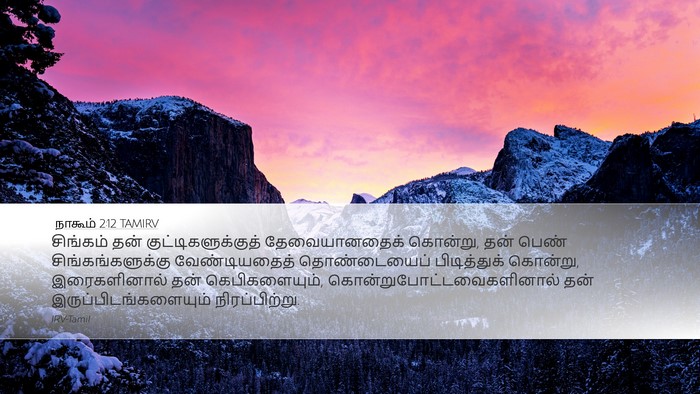 நாகூம் 2:12 TAMIRV Bible Verse Image