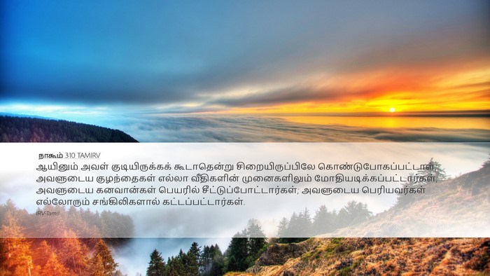 நாகூம் 3:10 TAMIRV Bible Verse Image