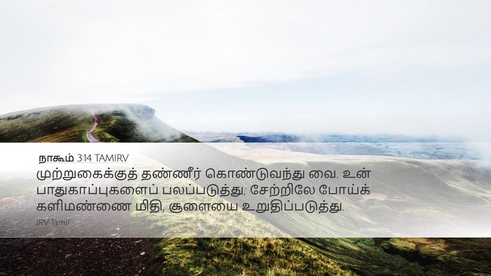 நாகூம் 3:14 TAMIRV Bible Verse Image