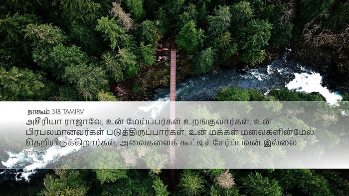 நாகூம் 3:18 TAMIRV Bible Verse Image