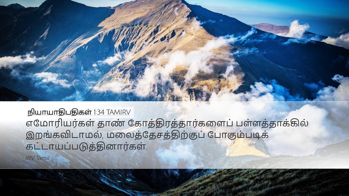நியாயாதிபதிகள் 1:34 TAMIRV Bible Verse Image