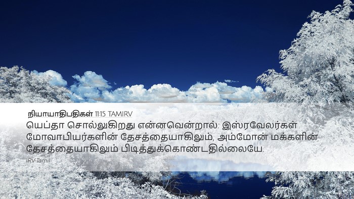 நியாயாதிபதிகள் 11:15 TAMIRV Bible Verse Image