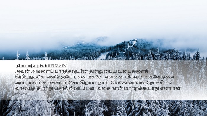 நியாயாதிபதிகள் 11:35 TAMIRV Bible Verse Image