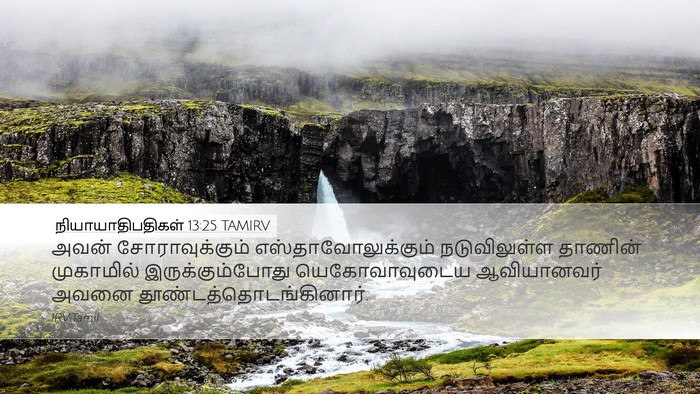 நியாயாதிபதிகள் 13:25 TAMIRV Bible Verse Image