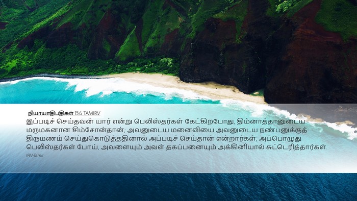 நியாயாதிபதிகள் 15:6 TAMIRV Bible Verse Image