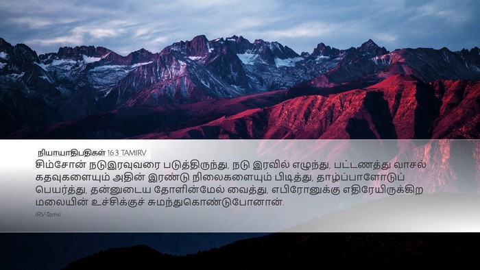 நியாயாதிபதிகள் 16:3 TAMIRV Bible Verse Image