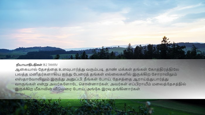 நியாயாதிபதிகள் 18:2 TAMIRV Bible Verse Image