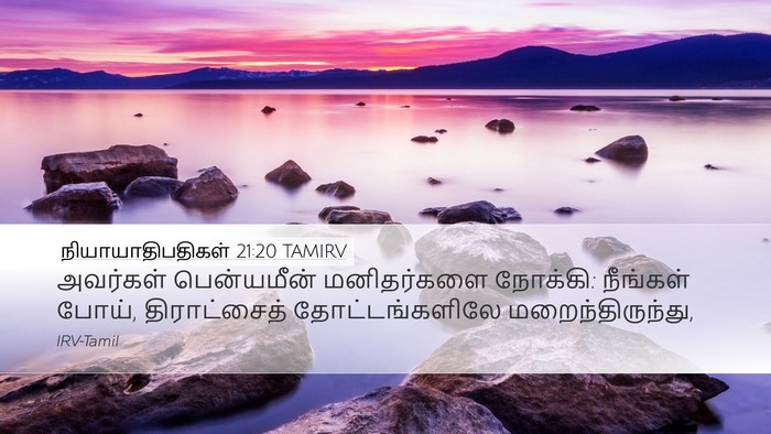 நியாயாதிபதிகள் 21:20 TAMIRV Desktop Wallpaper - அவர்கள் பென்யமீன் - Desktop Bible Verse Wallpaper