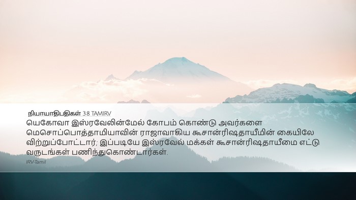 நியாயாதிபதிகள் 3:8 TAMIRV Bible Verse Image