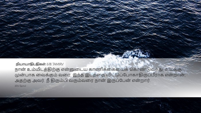 நியாயாதிபதிகள் 6:18 TAMIRV Bible Verse Image