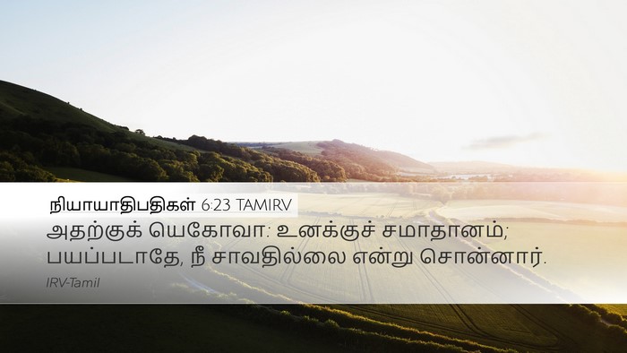 நியாயாதிபதிகள் 6:23 TAMIRV Bible Verse Image
