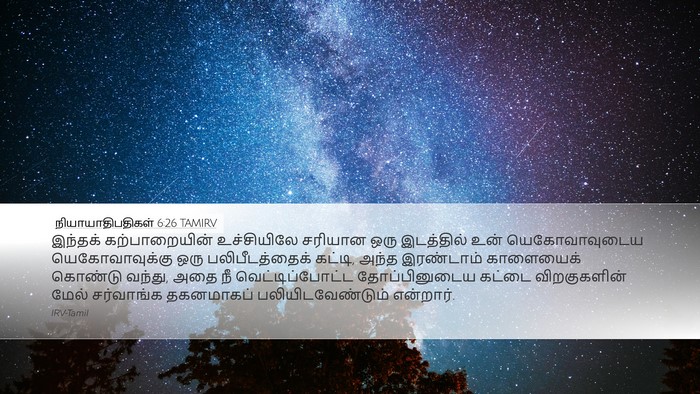 நியாயாதிபதிகள் 6:26 TAMIRV Bible Verse Image