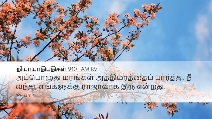நியாயாதிபதிகள் 9:10 TAMIRV Desktop Wallpaper - அப்பொழுது மரங்கள் - Desktop Bible Verse Wallpaper