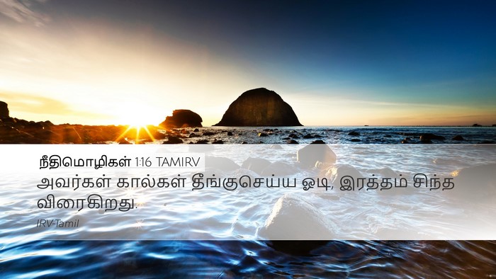 நீதிமொழிகள் 1:16 TAMIRV Bible Verse Image
