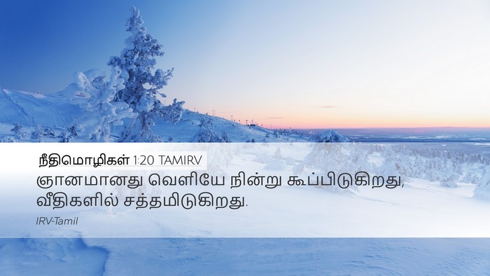 நீதிமொழிகள் 1:20 TAMIRV Bible Verse Image