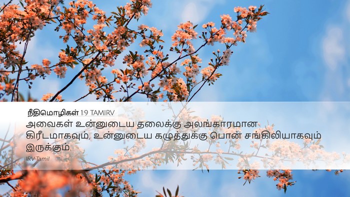 நீதிமொழிகள் 1:9 TAMIRV Bible Verse Image