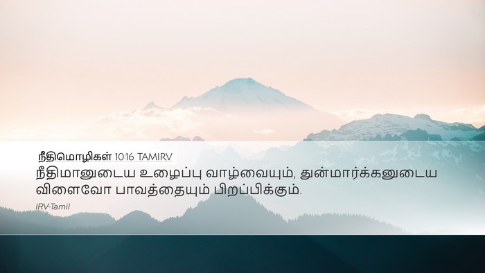 நீதிமொழிகள் 10:16 TAMIRV Bible Verse Image