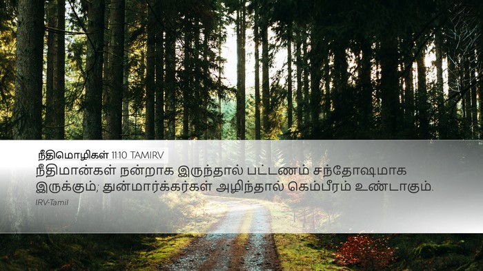 நீதிமொழிகள் 11:10 TAMIRV Desktop Wallpaper - நீதிமான்கள் - Desktop Bible Verse Wallpaper