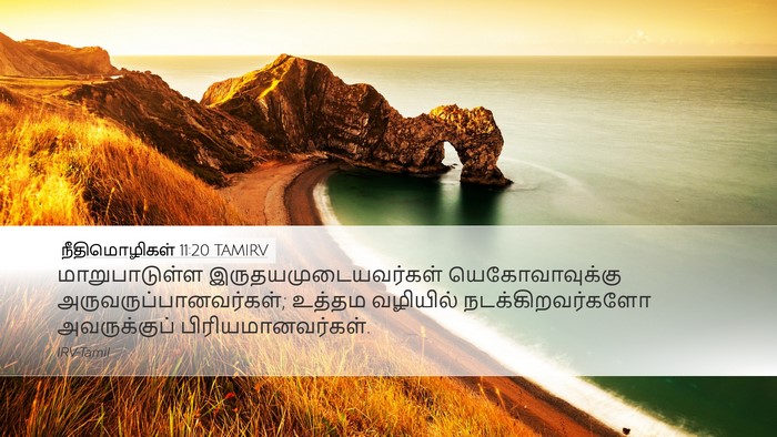 நீதிமொழிகள் 11:20 TAMIRV Bible Verse Image