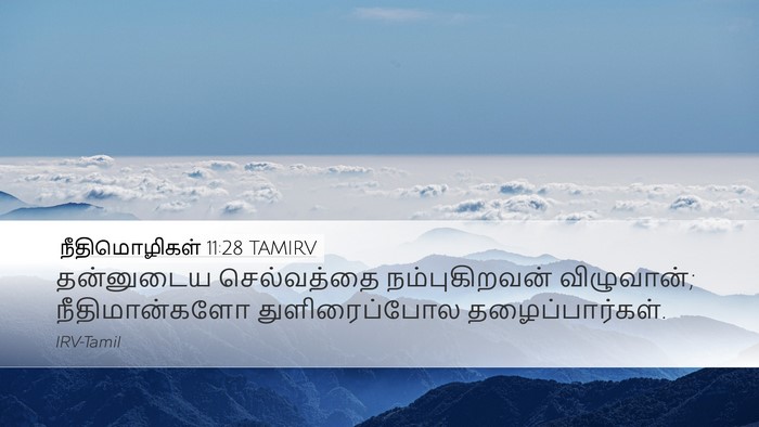 நீதிமொழிகள் 11:28 TAMIRV Bible Verse Image