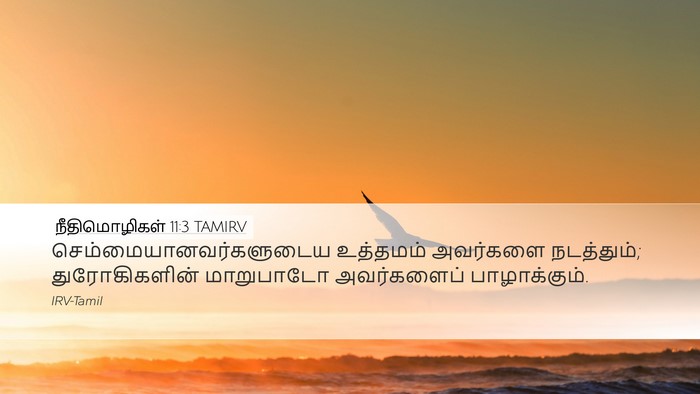 நீதிமொழிகள் 11:3 TAMIRV Bible Verse Image
