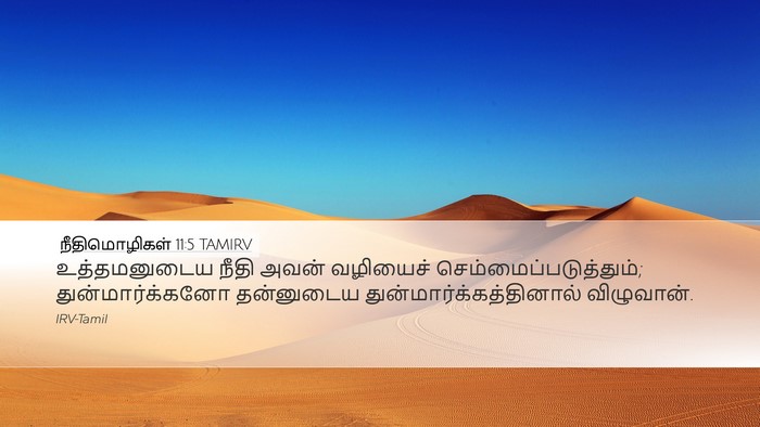 நீதிமொழிகள் 11:5 TAMIRV Bible Verse Image