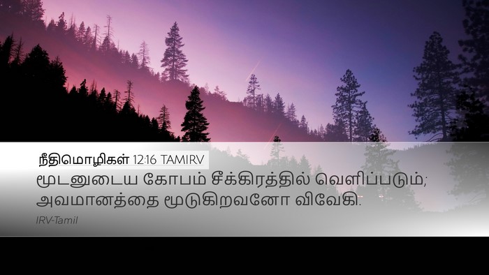 நீதிமொழிகள் 12:16 TAMIRV Bible Verse Image