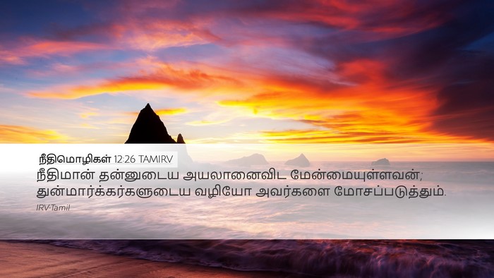 நீதிமொழிகள் 12:26 TAMIRV Bible Verse Image