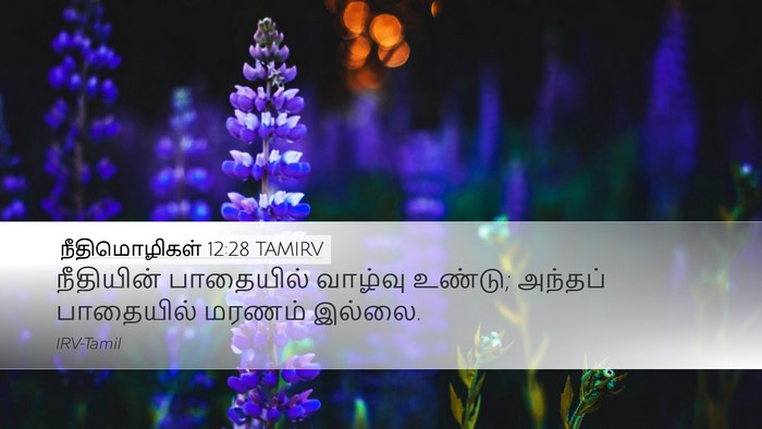 நீதிமொழிகள் 12:28 TAMIRV Bible Verse Image