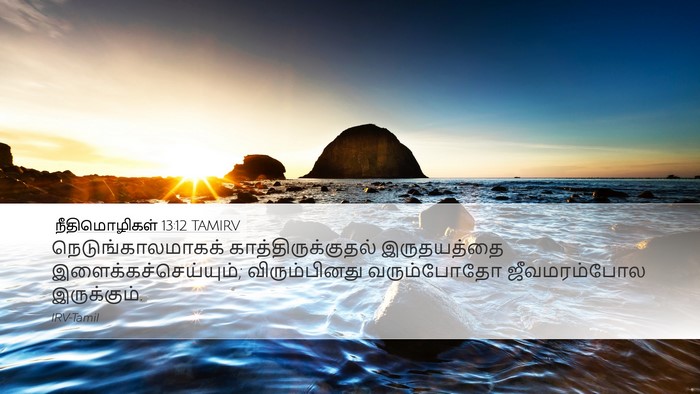 நீதிமொழிகள் 13:12 TAMIRV Bible Verse Image