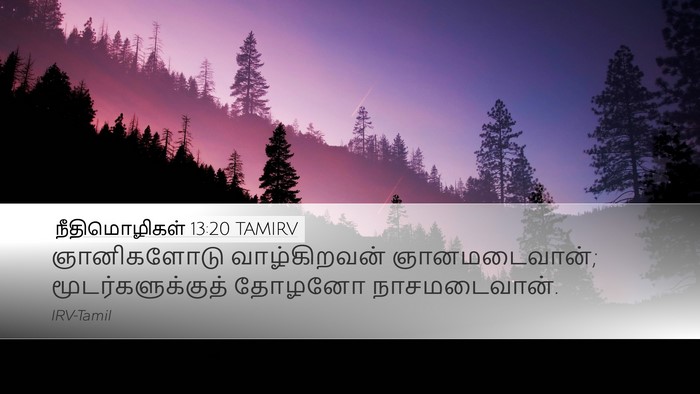 நீதிமொழிகள் 13:20 TAMIRV Bible Verse Image