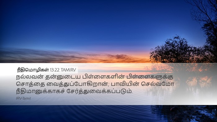 நீதிமொழிகள் 13:22 TAMIRV Bible Verse Image
