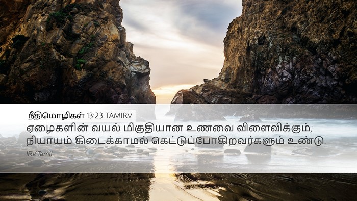 நீதிமொழிகள் 13:23 TAMIRV Bible Verse Image