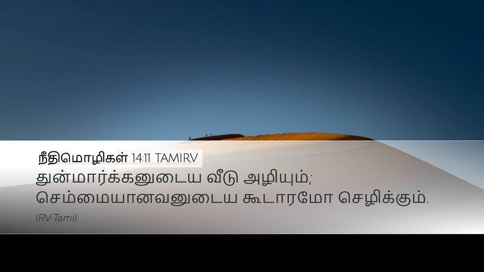 நீதிமொழிகள் 14:11 TAMIRV Desktop Wallpaper - துன்மார்க்கனுடைய - Desktop Bible Verse Wallpaper