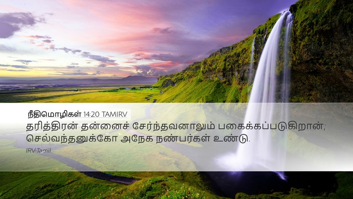 நீதிமொழிகள் 14:20 TAMIRV Bible Verse Image