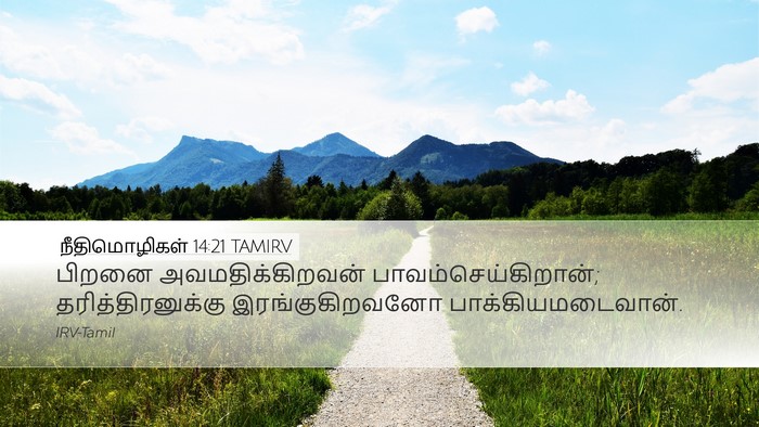 நீதிமொழிகள் 14:21 TAMIRV Bible Verse Image