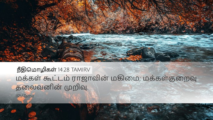 நீதிமொழிகள் 14:28 TAMIRV Bible Verse Image